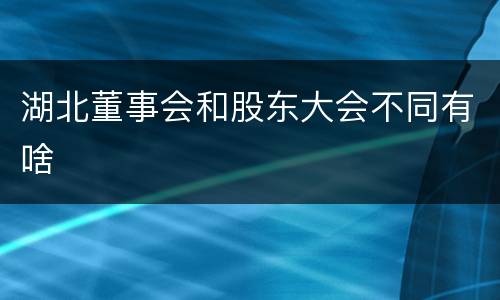 湖北董事会和股东大会不同有啥
