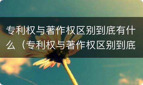 专利权与著作权区别到底有什么（专利权与著作权区别到底有什么意义）