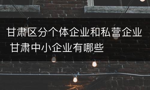 甘肃区分个体企业和私营企业 甘肃中小企业有哪些