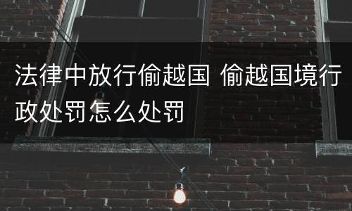 法律中放行偷越国 偷越国境行政处罚怎么处罚