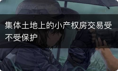 集体土地上的小产权房交易受不受保护
