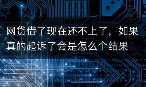 网贷借了现在还不上了，如果真的起诉了会是怎么个结果