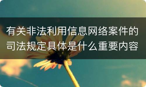有关非法利用信息网络案件的司法规定具体是什么重要内容