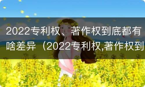 2022专利权、著作权到底都有啥差异（2022专利权,著作权到底都有啥差异呢）