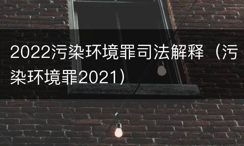 2022污染环境罪司法解释（污染环境罪2021）