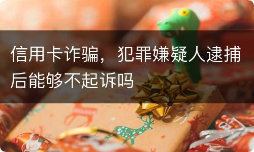信用卡诈骗，犯罪嫌疑人逮捕后能够不起诉吗