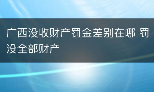 广西没收财产罚金差别在哪 罚没全部财产