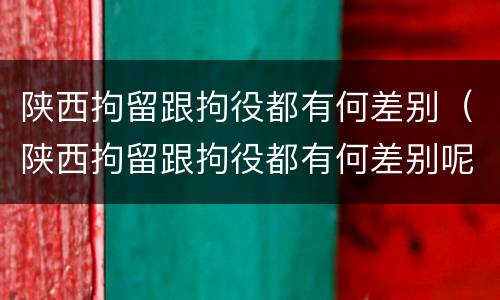 陕西拘留跟拘役都有何差别（陕西拘留跟拘役都有何差别呢）