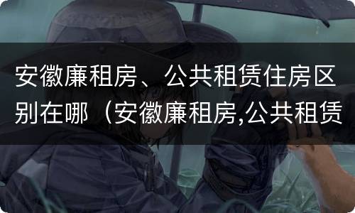 安徽廉租房、公共租赁住房区别在哪（安徽廉租房,公共租赁住房区别在哪儿）