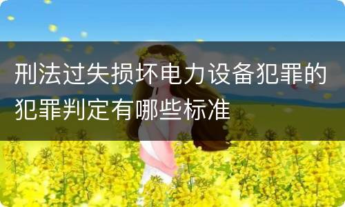 刑法过失损坏电力设备犯罪的犯罪判定有哪些标准