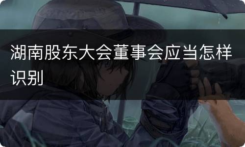 湖南股东大会董事会应当怎样识别