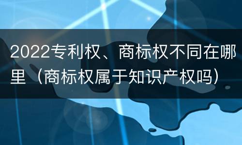 2022专利权、商标权不同在哪里（商标权属于知识产权吗）