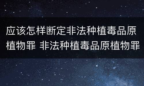 应该怎样断定非法种植毒品原植物罪 非法种植毒品原植物罪问题