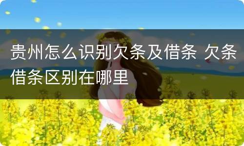 贵州怎么识别欠条及借条 欠条借条区别在哪里