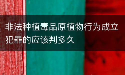 非法种植毒品原植物行为成立犯罪的应该判多久