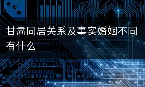甘肃同居关系及事实婚姻不同有什么