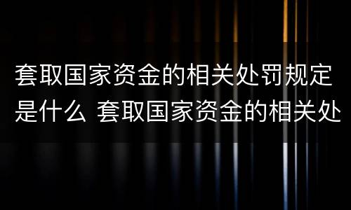套取国家资金的相关处罚规定是什么 套取国家资金的相关处罚规定是什么