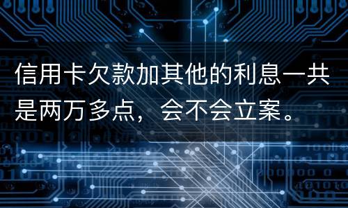 信用卡欠款加其他的利息一共是两万多点，会不会立案。