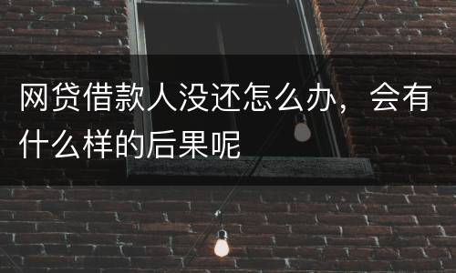网贷借款人没还怎么办，会有什么样的后果呢