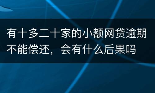 有十多二十家的小额网贷逾期不能偿还，会有什么后果吗