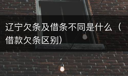 辽宁欠条及借条不同是什么（借款欠条区别）