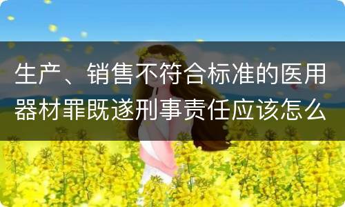 生产、销售不符合标准的医用器材罪既遂刑事责任应该怎么承担