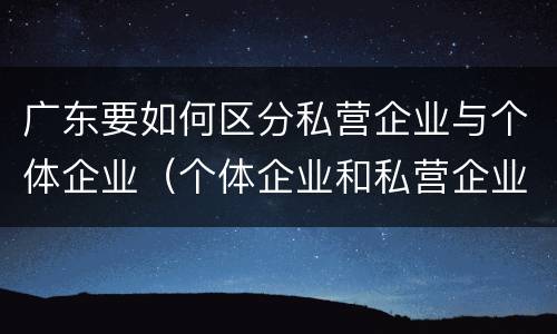 广东要如何区分私营企业与个体企业（个体企业和私营企业的区别）