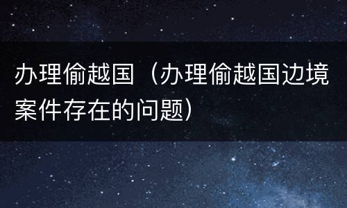 办理偷越国（办理偷越国边境案件存在的问题）