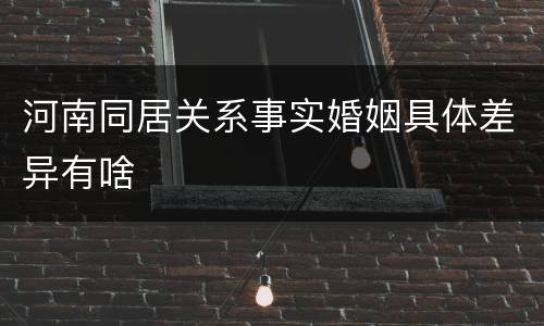 河南同居关系事实婚姻具体差异有啥