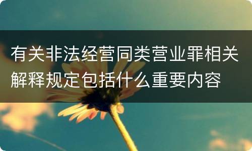 有关非法经营同类营业罪相关解释规定包括什么重要内容