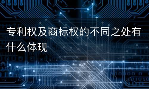 专利权及商标权的不同之处有什么体现