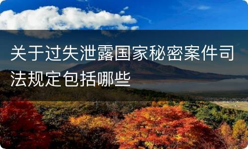 关于过失泄露国家秘密案件司法规定包括哪些