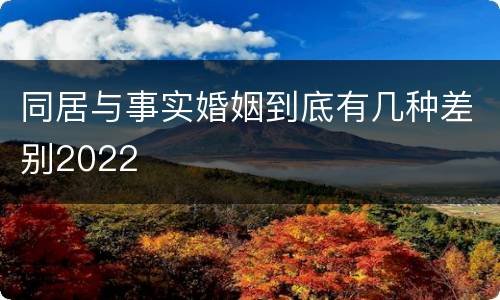 同居与事实婚姻到底有几种差别2022