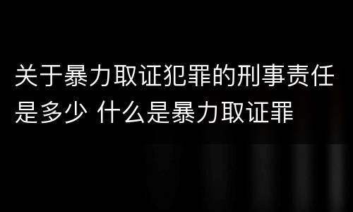 关于暴力取证犯罪的刑事责任是多少 什么是暴力取证罪