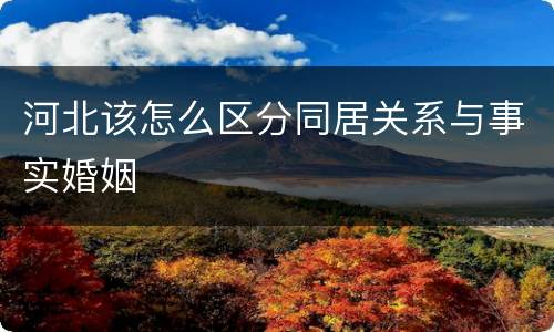 河北该怎么区分同居关系与事实婚姻