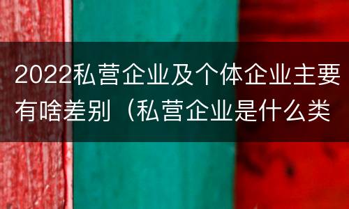 2022私营企业及个体企业主要有啥差别（私营企业是什么类型的企业）