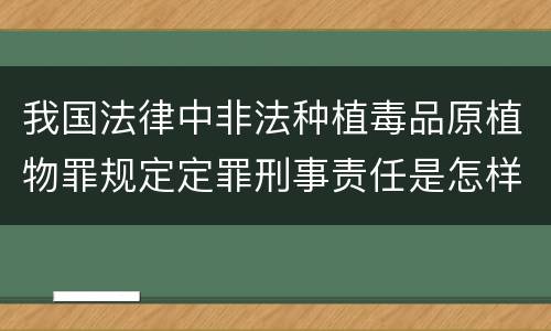 我国法律中非法种植毒品原植物罪规定定罪刑事责任是怎样