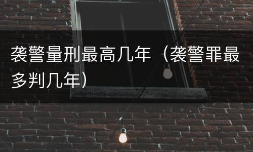 袭警量刑最高几年（袭警罪最多判几年）