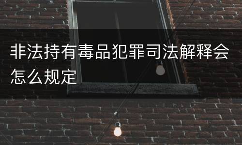 非法持有毒品犯罪司法解释会怎么规定