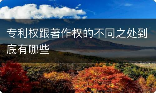 专利权跟著作权的不同之处到底有哪些