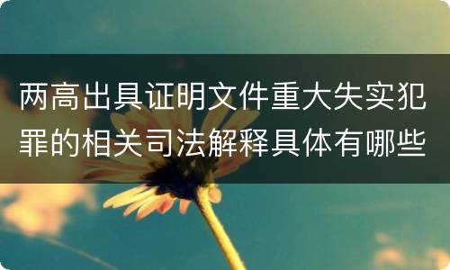 两高出具证明文件重大失实犯罪的相关司法解释具体有哪些重要规定