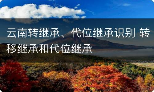 云南转继承、代位继承识别 转移继承和代位继承