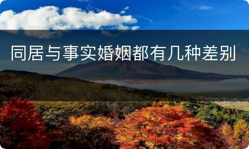 同居与事实婚姻都有几种差别