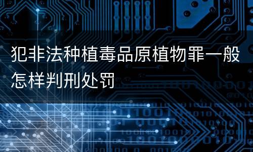 犯非法种植毒品原植物罪一般怎样判刑处罚