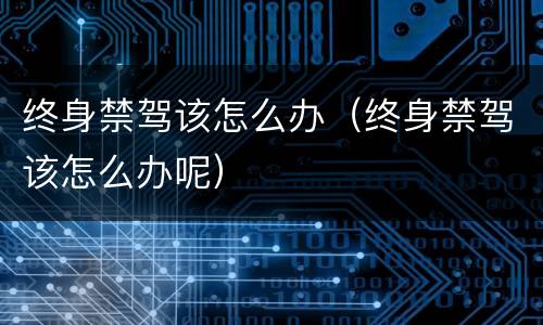 终身禁驾该怎么办（终身禁驾该怎么办呢）