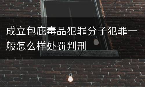 成立包庇毒品犯罪分子犯罪一般怎么样处罚判刑