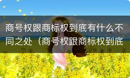商号权跟商标权到底有什么不同之处（商号权跟商标权到底有什么不同之处呢）