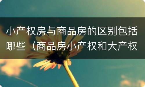 小产权房与商品房的区别包括哪些（商品房小产权和大产权的区别）