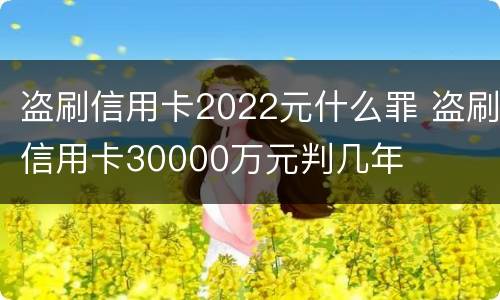 盗刷信用卡2022元什么罪 盗刷信用卡30000万元判几年