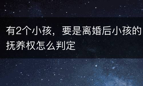 有2个小孩，要是离婚后小孩的抚养权怎么判定